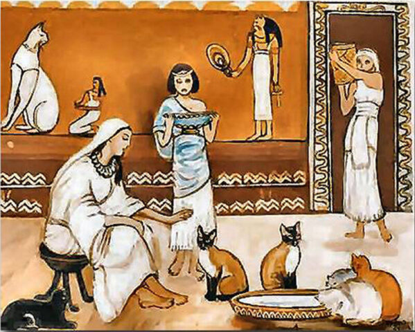 история кошки и человека