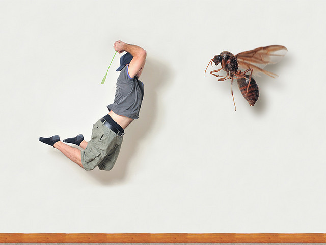 Почему мухи кусаются осенью: узнайте интересные факты и способы защиты от них