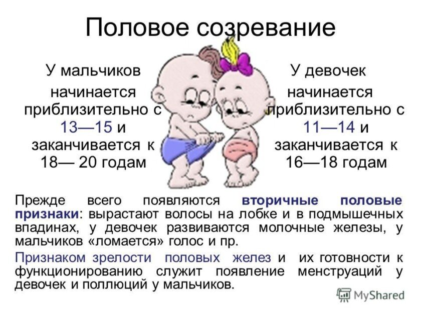 возраст полового созревания девочек