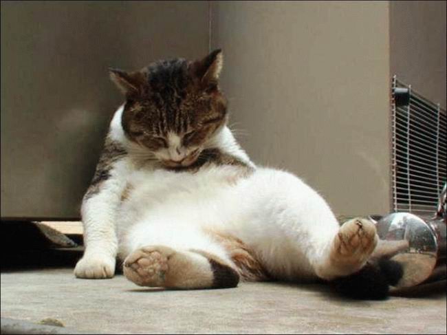 10+1 способ, как быстро и эффективно избавиться от похмелья в домашних ...