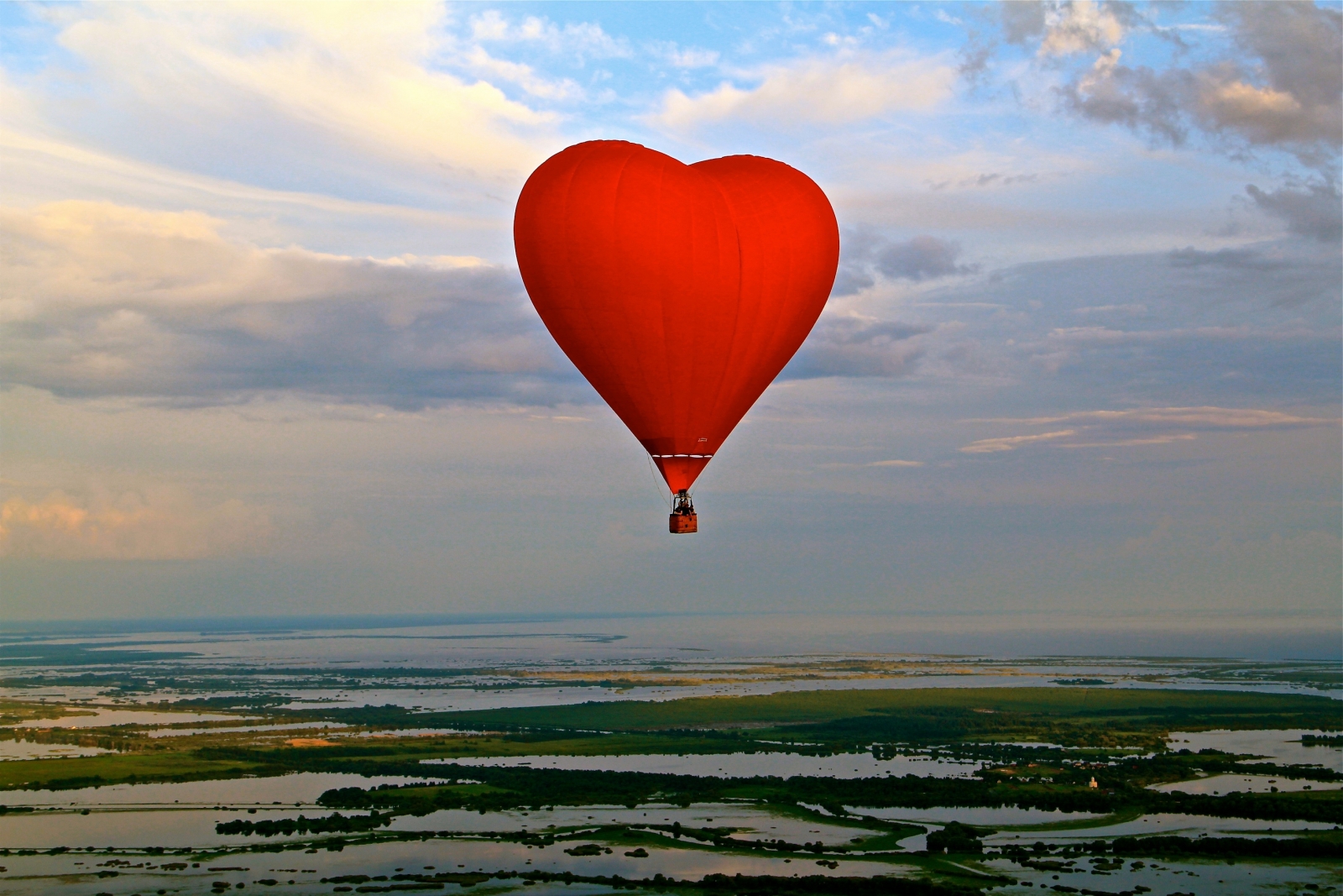 фото воздушные шары в виде сердечек