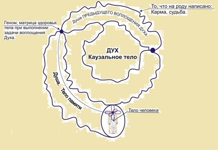 Кем я был в прошлой жизни.