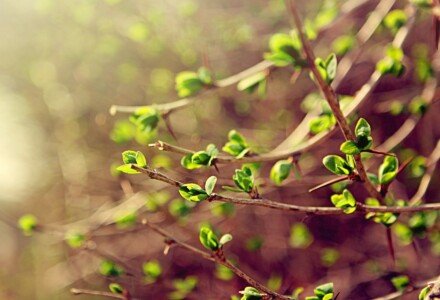Что делать в апреле: 9 дел, которые стоит выполнить в этом месяце!