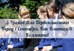 5 Уроков Для Первоклассника Перед 1 Сентября, Как Влиться В Коллектив