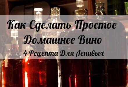 Как Сделать Простое Домашнее Вино: 4 Рецепта Для Ленивых