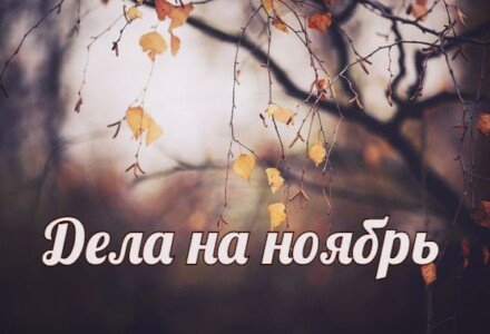 Список дел на ноябрь: ТОП 10 советов, как провести время осенью