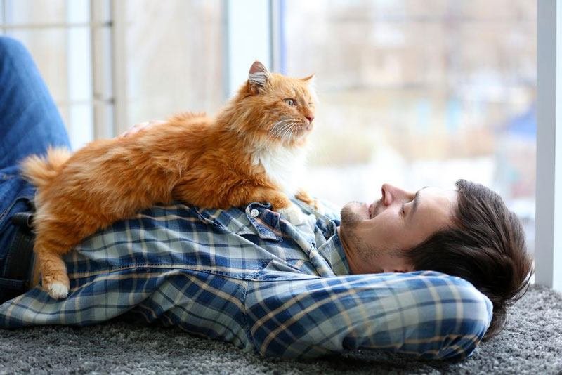 Какое имя выбрать для кота