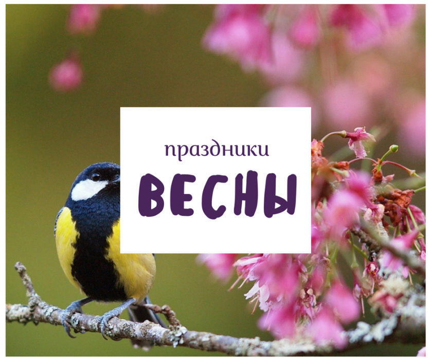 Какие праздники отмечают весной: самые светлые даты потрясающего сезона