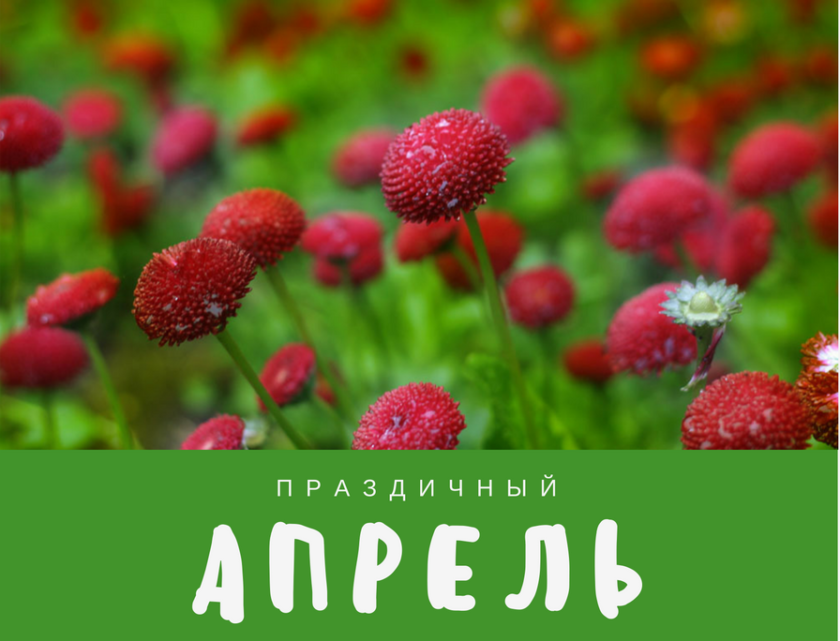 Международный день детской книги 2 апреля
