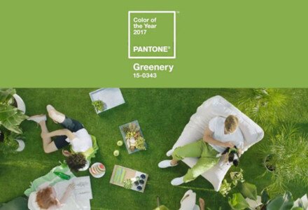 Цвета Pantone 2017 года: вся модная палитра в одной статье