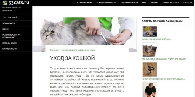 Сайт Фото Котов