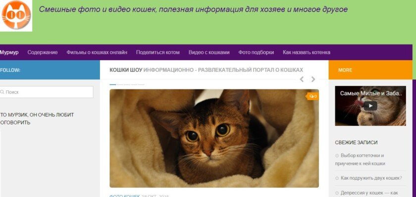 Сайты для кошатников