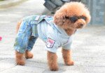 Какие джинсы и с чем лучше носить этим летом?