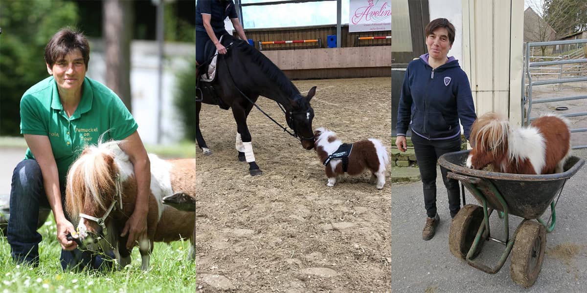 Пумукель и его владелец - Карола