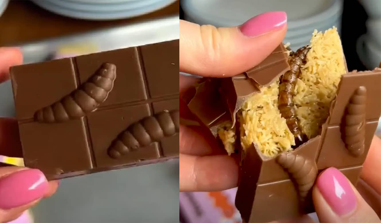 плитка Жуколада