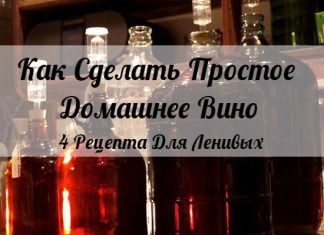 Как Сделать Простое Домашнее Вино: 4 Рецепта Для Ленивых
