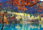 17 Причин Полюбить Осень Раз И Навсегда