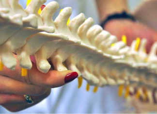 Искривление позвоночника: виды, причины и лечение