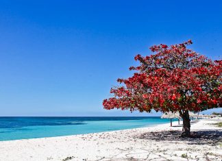 В каких странах круглый год лето?