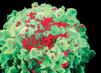 Внезапные прорывы в поиске вакцины от ВИЧ